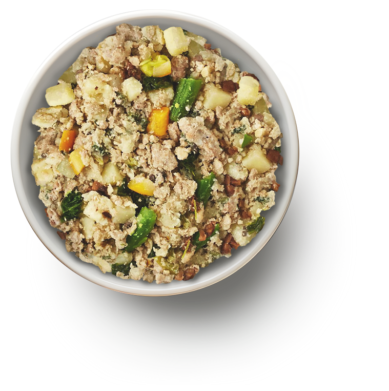 Benjis Wholesome food – Fresh Nutritious food for your pet